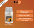 CÁPSULAS CANDIDA CLEANSE 1000MG