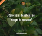 GOMITAS VINAGRE DE MANZANA 1000MG