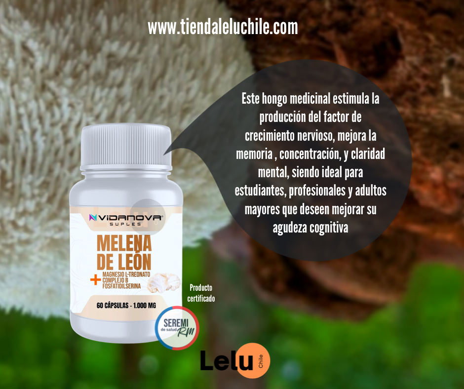 CÁPSULAS MELENA DE LEON FORTIFICADA 1000MG
