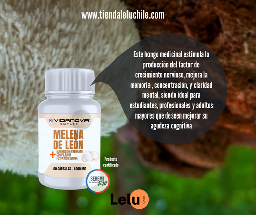 CÁPSULAS MELENA DE LEON FORTIFICADA 1000MG